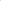 Mini Seek 16 oz - Rosa Neon